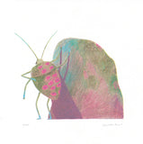 Print Insecte - Charlotte Parent