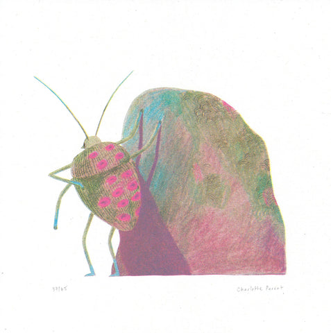 Print Insecte - Charlotte Parent