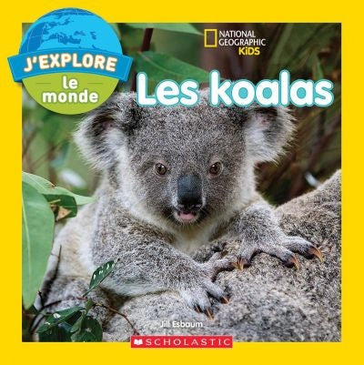 Les koalas