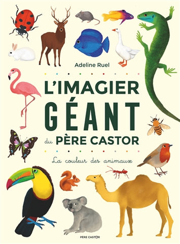 L' imagier géant du Père Castor