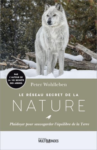 Le réseau secret de la nature
